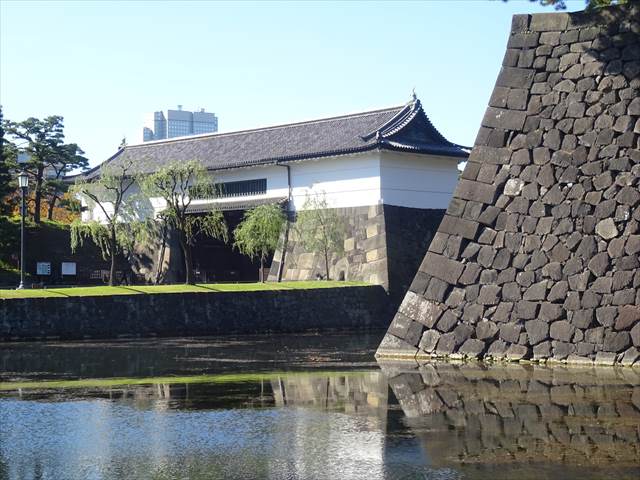 DSC07458_R.JPG