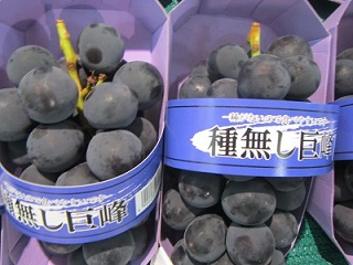 味覚ブドウ２.jpg
