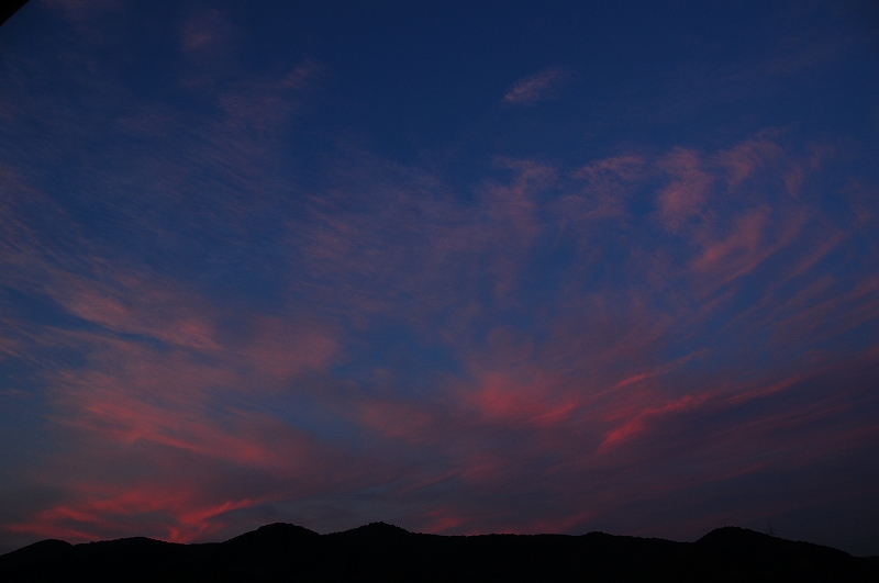 D40 3024.jpg