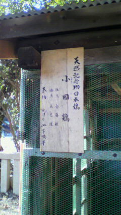 2012040115570000.jpg