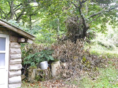 DSCN0263.jpg