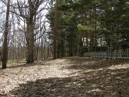 2016-04-12sanro.JPG