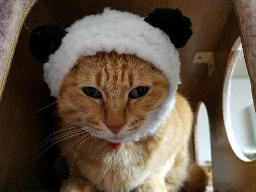 rblog-20180129122902-05.jpg
