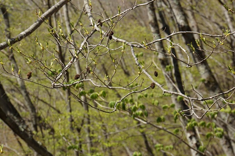 DSC04277.JPG