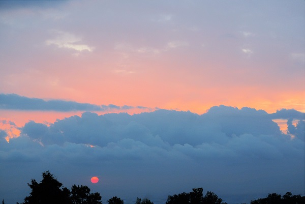 パルテール窓から