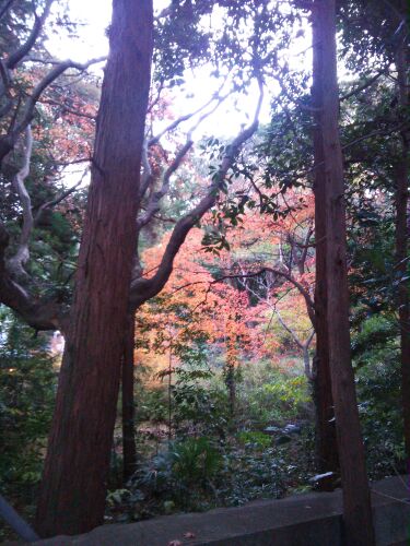 rblog-20141229092005-03.jpg