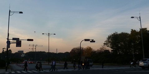 P1270494画像1.jpg