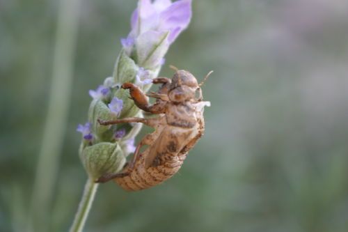 2015080302.JPG