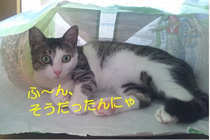 20120915_3.jpg