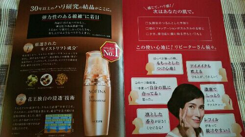 rblog-20170112140945-01.jpg