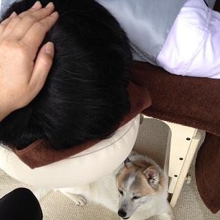 ６月３日２.jpg