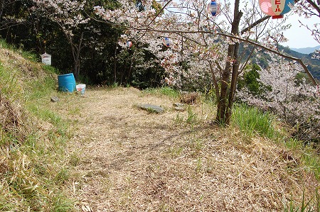 s-DSC_0038.jpg