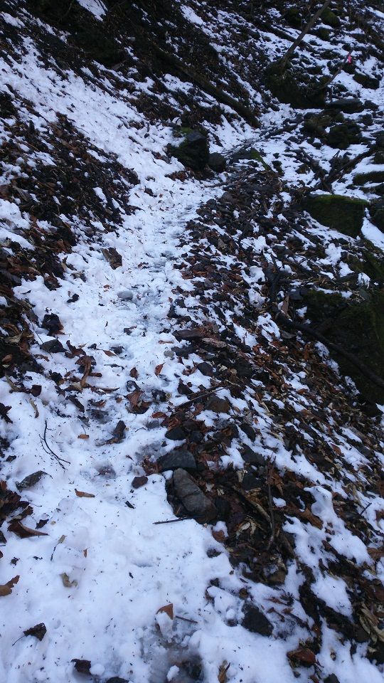 両神山 登山 2月4日 登ってみた。 | 家一軒を解体してみたら いろいろやってみたくなる - 楽天ブログ