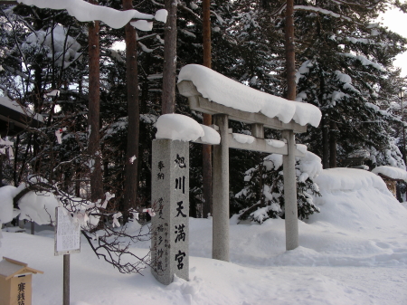 2016-01-16mori1.JPG