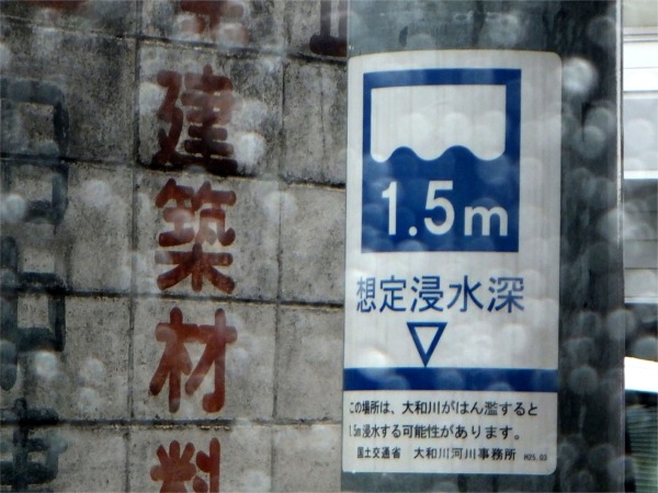 DSCF1974.JPG
