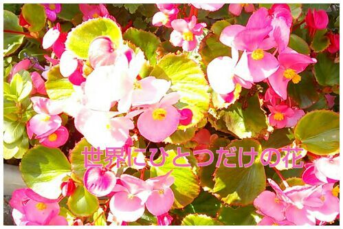 rblog-20161106132123-00.jpg