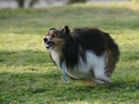 DSC08039.jpg