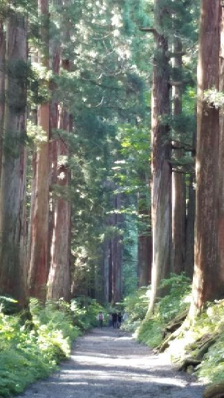 rblog-20180906200421-02.jpg