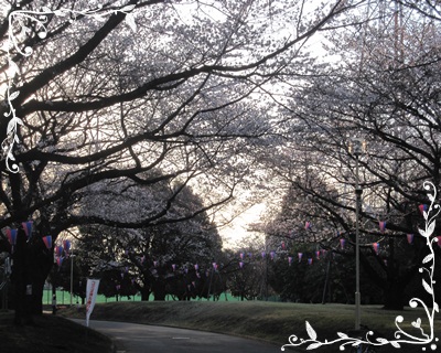 016 20120405.JPG