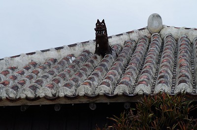 DSC03153.jpg