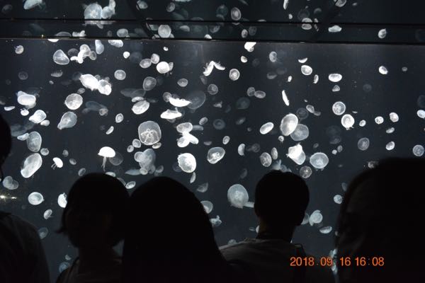 rblog-20180917215908-08.jpg