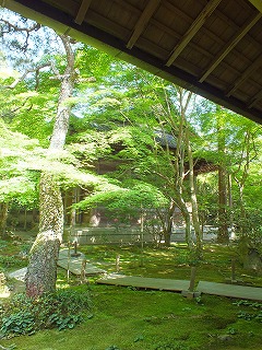 蓮花寺の庭