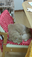 rblog-20130413002636-04.png