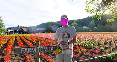 20160808FARM-TOMITA