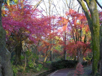 京都府立植物園