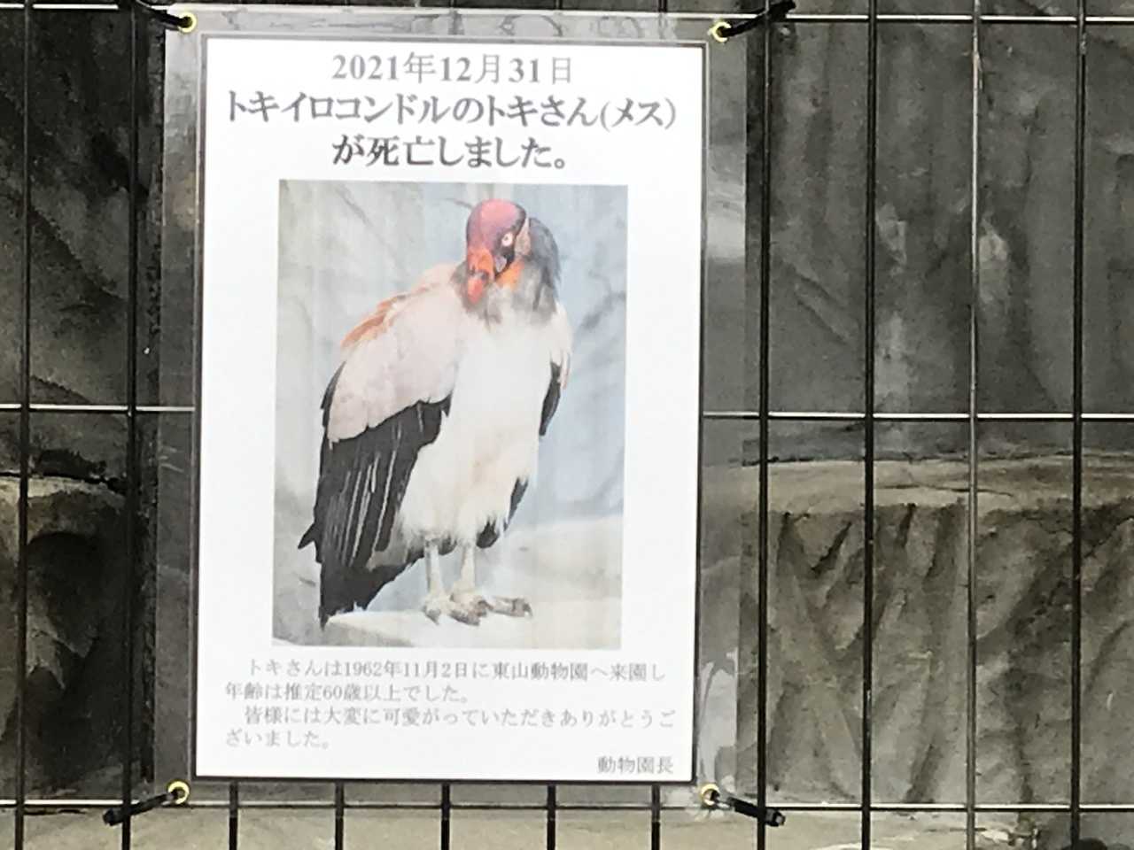 トキさんの献花台 トキイロコンドル 今日は誰と会えるかな だいたい東山動植物園 楽天ブログ