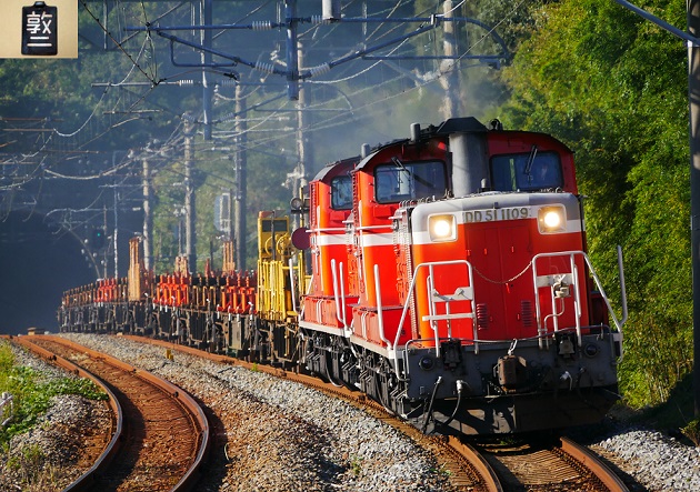 28.JPG