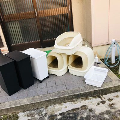 まあ 徐々に 北米 猫 トイレ お 風呂 場 Eralux Net