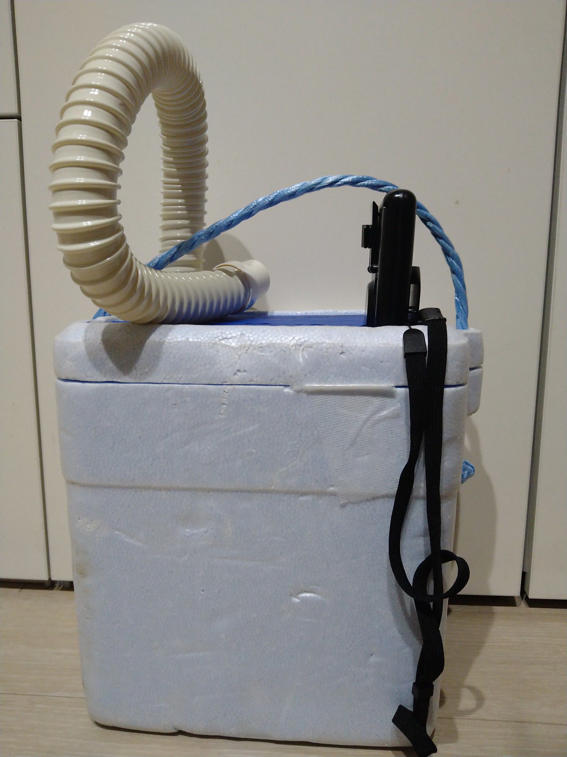 ディズニーリゾート の記事一覧 日常あるいは平穏な日々 楽天ブログ