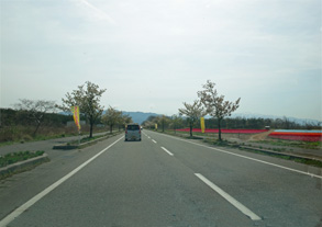 新潟385.jpg
