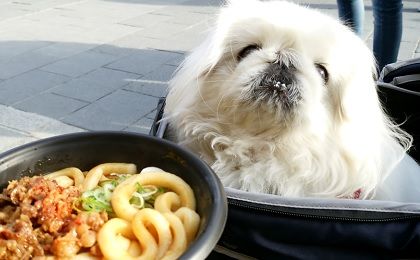 わんこを連れて伊勢 志摩旅行 2 おはらい町 おかげ横丁で食べ歩く 暖かくて静かな暮らし ももブログ 楽天ブログ
