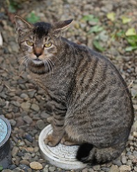 5DA_9216-14.jpg