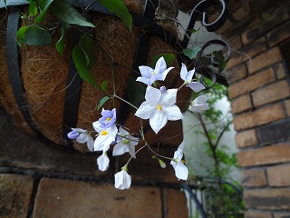 DSC01282.jpg