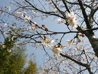 rblog-20140327225303-01.jpg