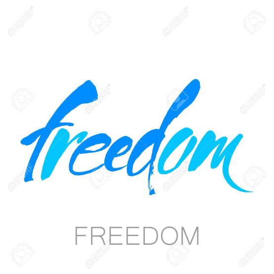 paradise19のブログ