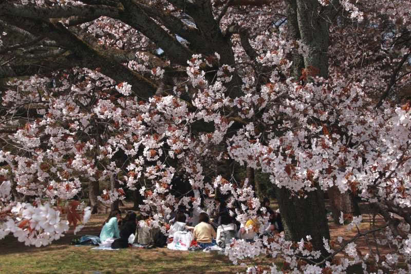 京都御苑_006.jpg
