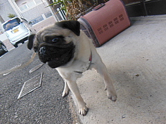 conv0388.JPG