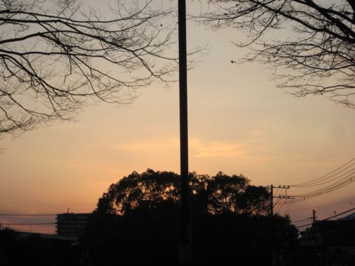 IMG_8728.JPG