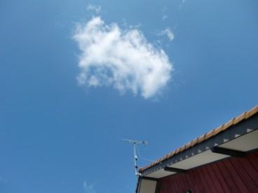 tigiregumo5.jpg