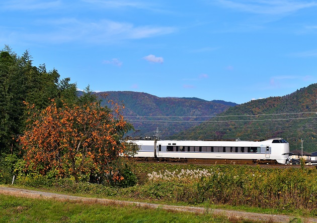 DSC_7964.JPG