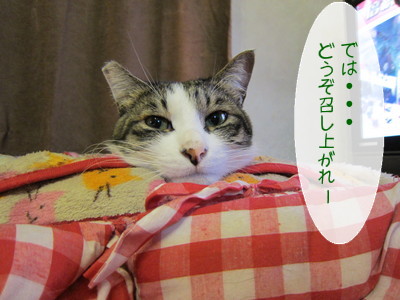 20121219114818_w_400_h_300_4821483.jpg