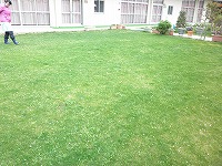 s-P4080028.jpg