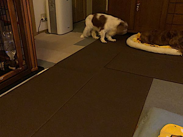 rblog-20180406014530-01.jpg