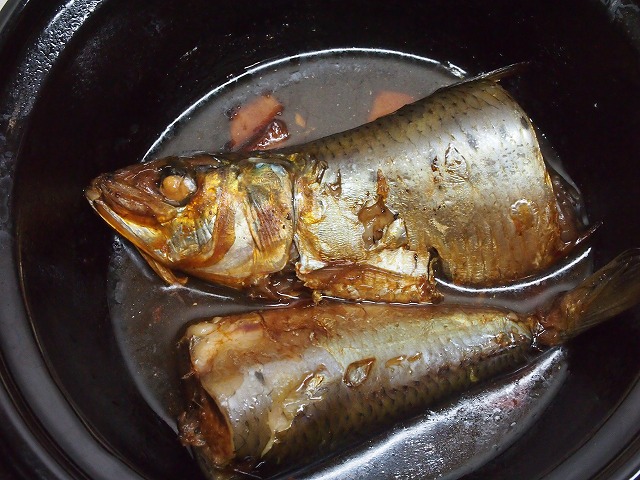 P1100020.jpg