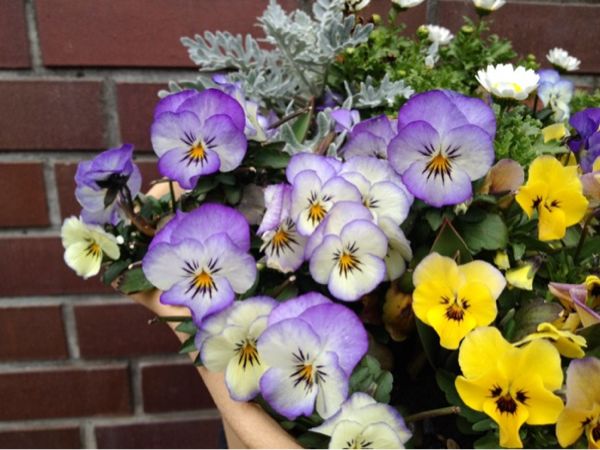 rblog-20140319210303-02.jpg