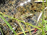 IMG_2589.JPG